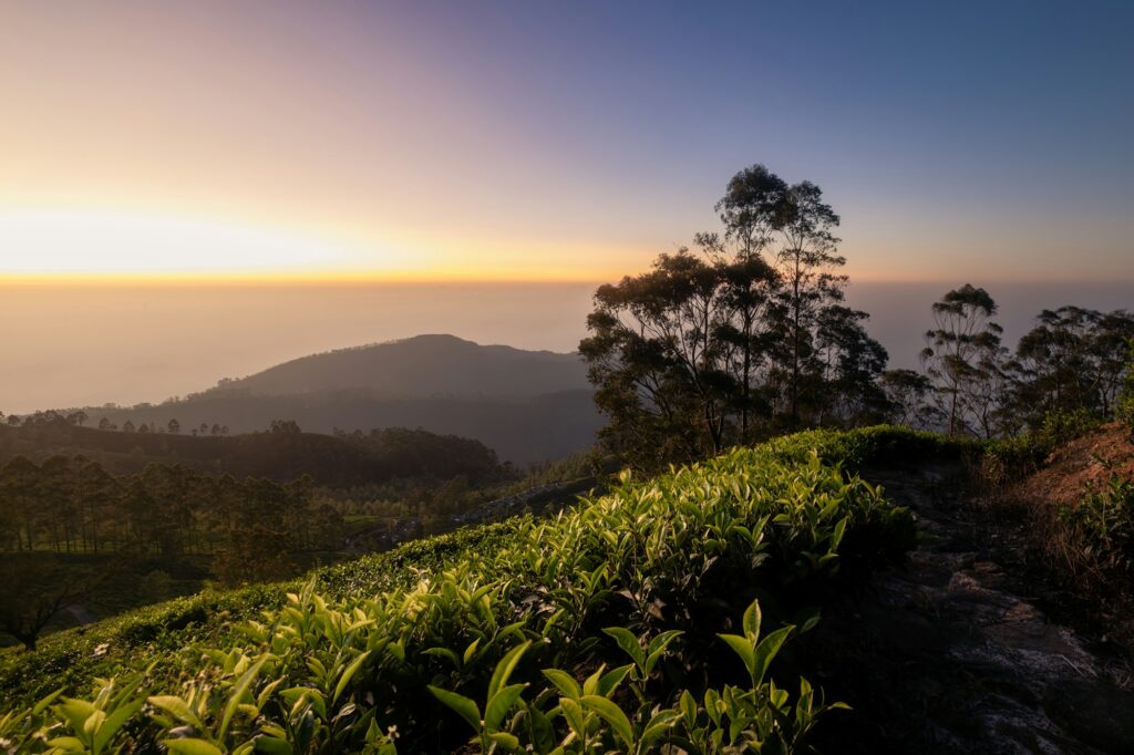 Beautiful sunrise over hills in Sri Lanka