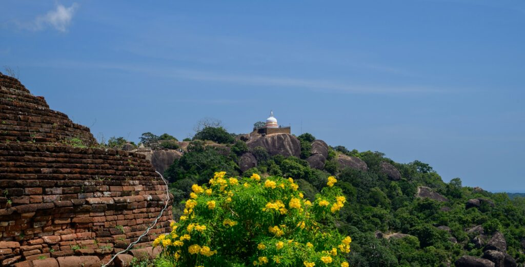 Sithulpawwa Buddhist Monastery landscape scenery,